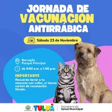 Jornada de vacunación antirrábica canina y felina