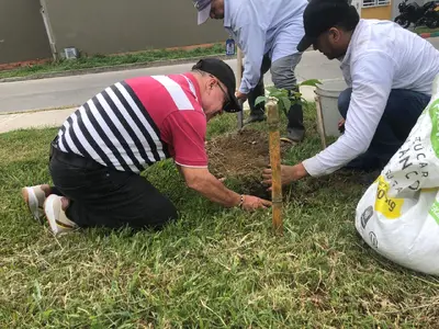 Alcaldía fortalece arborización con siembra de 58 árboles en puntos estratégicos de Tuluá